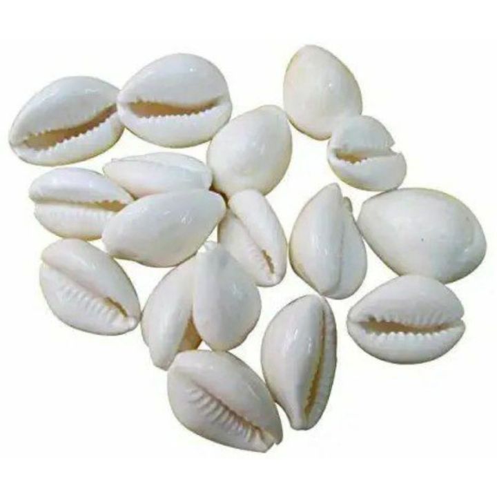 Kori%20/%20cori%20-%202%20pcs%20-%20Image%207