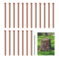 25Pcs Copper Nails, 3.14 Inch Long Pure Copper Nails Bulk with Drill Bit, Remove Stake Nails Hardware Nails for Trees. 