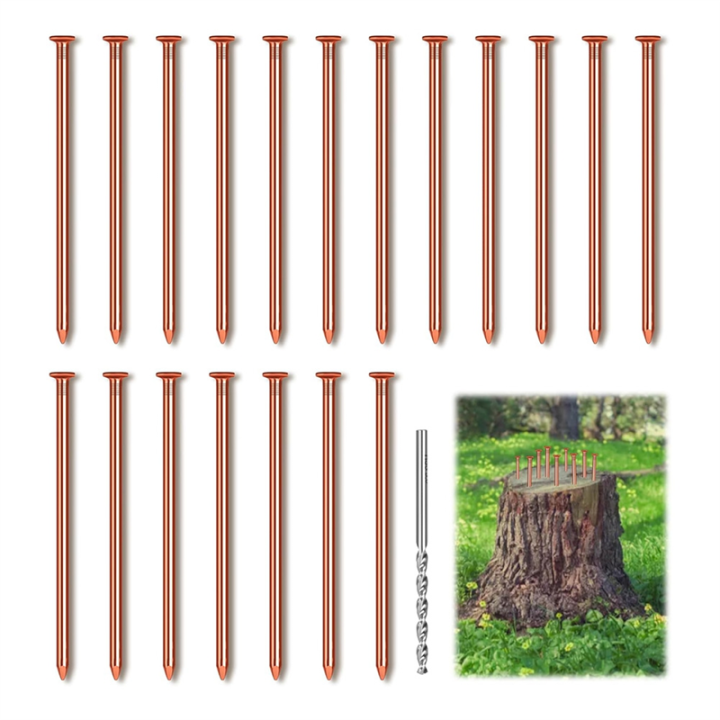 25Pcs%20Copper%20Nails,%203.14%20Inch%20Long%20Pure%20Copper%20Nails%20Bulk%20with%20Drill%20Bit,%20Remove%20Stake%20Nails%20Hardware%20Nails%20for%20Trees%20-%20Image%203