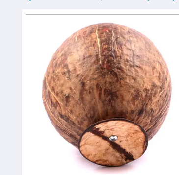 Eco%20Friendly%20Handmade%20Coconut%20Shell%20Made%20Coin%20Bank%20Money%20Saving%20Bank%20Coconut%20She'll%20Bank%20-%20Image%205