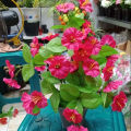 Artificial Plastic Plant Tree - - Home Decoration Item - Home Decoration Item. 