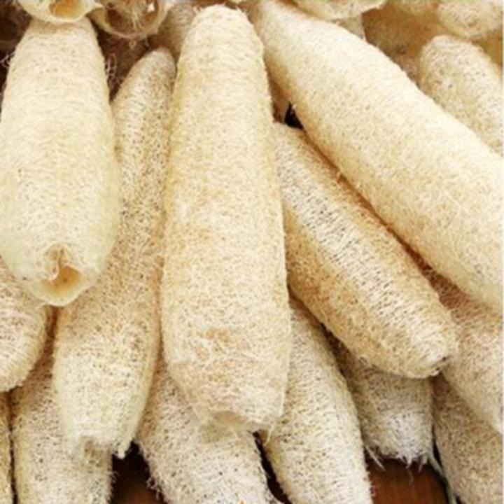Dry%20Luffa%20,Body%20Brush%20Shower%20Brush%20Exfoliating%20Body%20Scrub%20Kit%20,%20Dry%20Body%20Brush,%20Back%20Scrubber,%20Natural%20Brush%202%20piece%20-%20Image%203