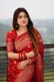 Exclusive Designer Screen Print Japani Silk Saree With Blouse for Women.