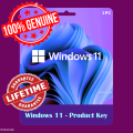 MS Windows 11 Pro Lifetime Product Key 100% Genuine License for 1PC. 