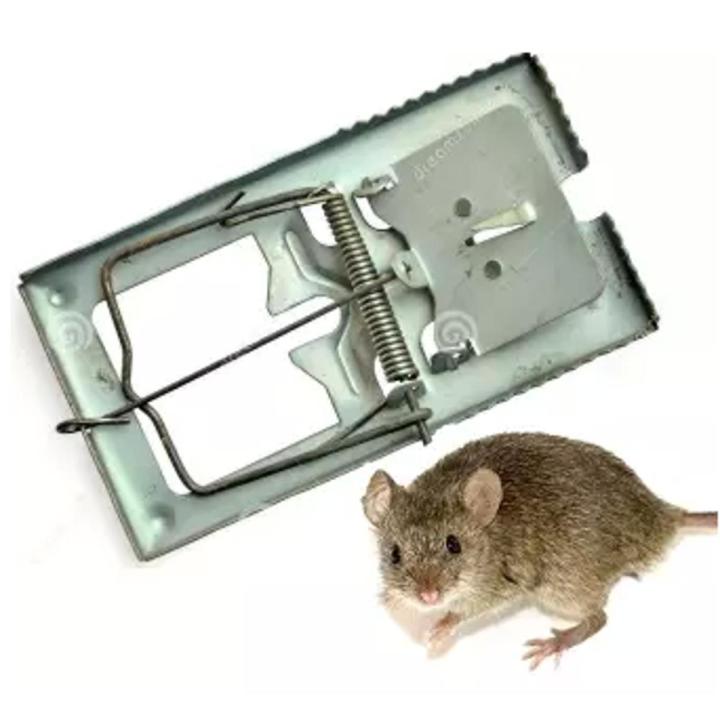 Rat Trap Reusable Stainless Stell- ইঁদুর ধরার ফাঁদ-1 Pis