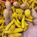 Premium Turmeric Powder | 100% Natural | Pure Holud Powder | No Artificial Color | No Preservatives. 