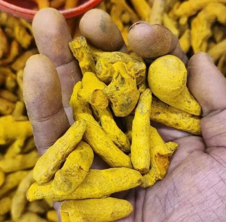 Premium%20Turmeric%20Powder%20%7C%20100%25%20Natural%20%7C%20Pure%20Holud%20Powder%20%7C%20No%20Artificial%20Color%20%7C%20No%20Preservatives%20-%20Image%207