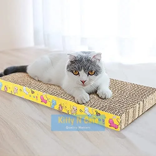 CAT%20SCRATCHBOARD%20-%20Image%202