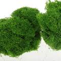 1Pack of 10g Model Static Grass Powder, Fake Grass for Miniature ,Terrain Landscape DIY Artificial, Sand Table Scenery Railway Layout. 