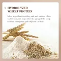 ZHENXIU Coconut Moisturizing Improves frizz, Softens Hair, Repairs Refreshing Hair Mask. 