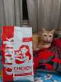 Chonk All Ages Cat Food Chicken 1.5KG.