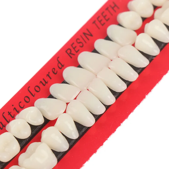 28pc%20Acrylic%20Resin%20Teeth%20Denture%20Upper%20Lower%20Shade%2023#%20A2%20Dental%20-%20Image%204