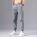 Ice Silk Pants Men's Summer Thin Section Trend Wild Loose Casual Pants Sports Pants Quick-drying Harlan Nine-point Pants.