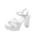 Trendy Girl Korean Fashion Wedge Sandals, Ladies Fish Mouth Platform High Heels Wedges Sandals Buckle Slope Sandals. 