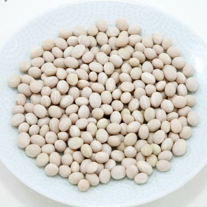 Bean%20Seed%20White/%20Simer%20Bichi%20Sada-%20500%20gm%20-%20Image%203
