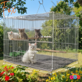 Code- 6045 - 18 x 12 Inches Thin Metal Wire Cage with Tray, Food & Water Pot for Budgerigar,Lovebirds,Finches,Parrots,Hamster,Cockatiel, Chicken,Duck,Quail,Rabbit ,Cat,Dog ,Dove | bird cage house accessories food toy nest harness feeder china decoration. 