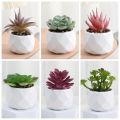 Mini Evergreen Artificial Succulent Fake Plants Plastic Succulents Bonsai Cactus Bonsai Plants Home. 