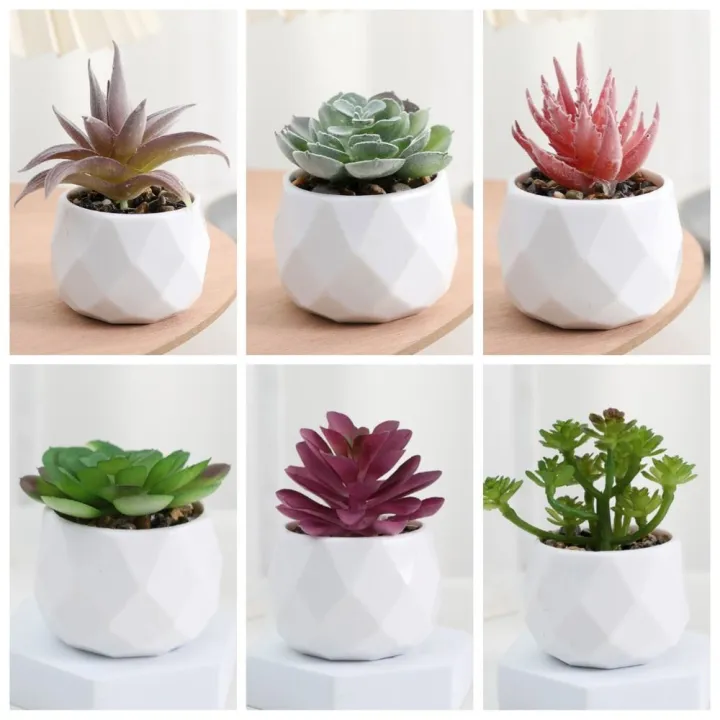 Mini%20Evergreen%20Artificial%20Succulent%20Fake%20Plants%20Plastic%20Succulents%20Bonsai%20Cactus%20Bonsai%20Plants%20Home%20-%20Image%208