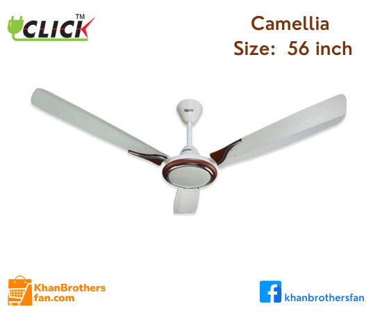 Click Camellia Ceiling Fan 56'' - Ivory Gold, 07 Years Replacement Guaranty
