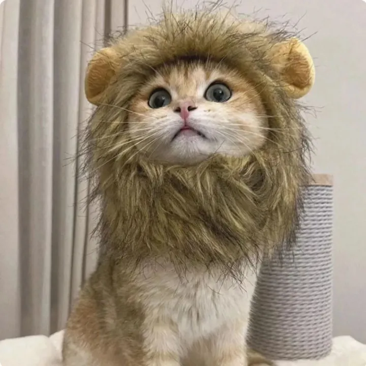 Halloween Costumes For Dogs Funny Dog Cosplay Lion Brown Wig