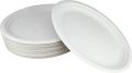 One Time Disposible Foam Plate Set. 