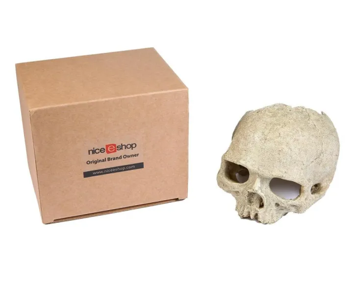 Creative%20Exotic%20Environments%20Human%20Skull%20Aquarium%20Ornament%20Home%20Office%20Decor%20-%20Image%208