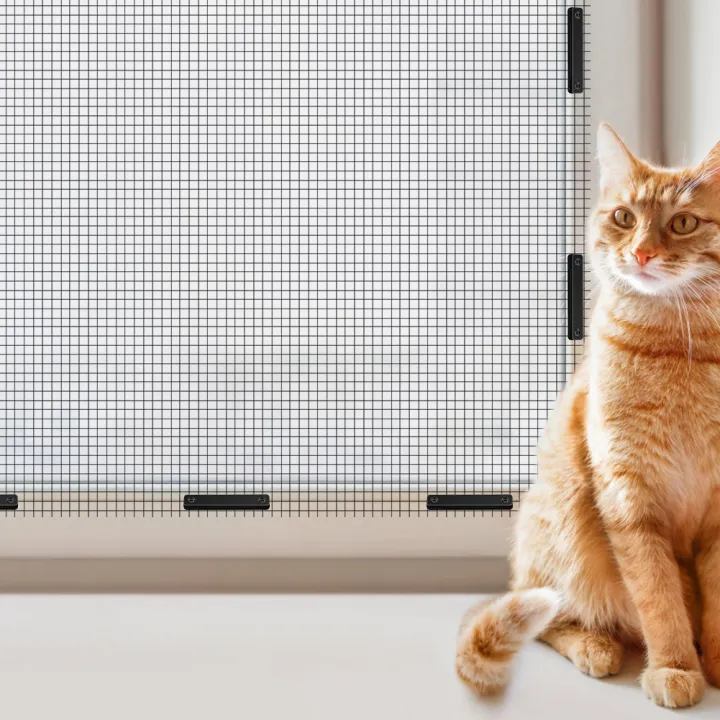 1-40pcs%20Magnetic%20Window%20Screen%20Clip%20Magnets%20for%20Mosquitoe%20Screen%20Protection%20No%20punching%20Strong%20Fixation%20Windows%20Mounting%20Buckle%20-%20Image%204