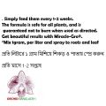 Miracle-Gro USA fertilizer for cactus orchid Ornamented flowering plant  N.P.K  Water Soluble All Purpose Plant Food Repack. 