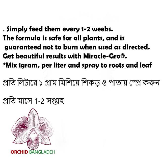 Miracle-Gro%20USA%20fertilizer%20for%20cactus%20orchid%20Ornamented%20flowering%20plant%20%20N.P.K%20%20Water%20Soluble%20All%20Purpose%20Plant%20Food%20Repack%20-%20Image%202