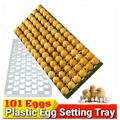 Egg Incubator Setter Tray 101 Egg For Chicken, Duck, Goose. 