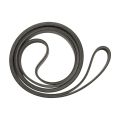 Timing Belt 57-865615Q03 for V6 V8 Serpentine Belt Alpha 57-865615-003 862087 862087A1 18-15100.