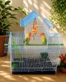 Home Shape Big Size China Premium Metal Bird Cage (2025) With All Accessories Cash On Delivery Available.
