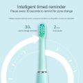 Sonic Electric Toothbrush D8081 Waterproof USB Type-c Rechargeable Toothbrushes 2 Heads.