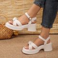 Summer 2024 Thick Bottom Sandals for Women Open Toe Chunky Platform Slippers Woman High Wedge Heels Sandles Female.