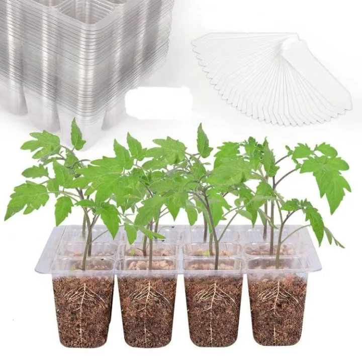 Transparent%20plastic%20plant%20propagate%20seed%20tray%2012%20cells%20-%20Vintage%20Choice%20-%20Exclusive%20Experience%20-%20Image%202