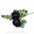 12 pice black rose flower seeds. 