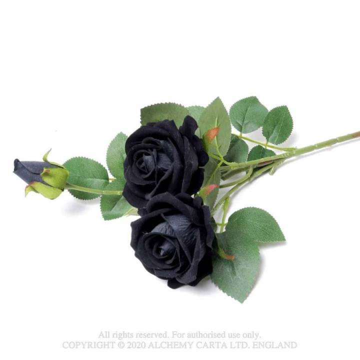 12%20pice%20black%20rose%20flower%20seeds%20-%20Image%205