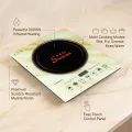 Gazi A-40G 2000W Smiss Infrared Cooker. 