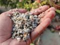 White Stone Chip (সাদা পাথর কুচি) - 200/500 Gram pack Mini White Stone Chip For Decoration of Aquarium and Making Adenium Cactus Media. 
