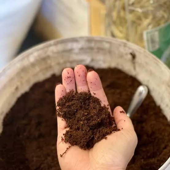 Natural%20Coco%20Peat-%201%20KG(Ready%20Cocopeat)%20for%20Gardening/Best%20For%20Garden.%20-%20Image%204
