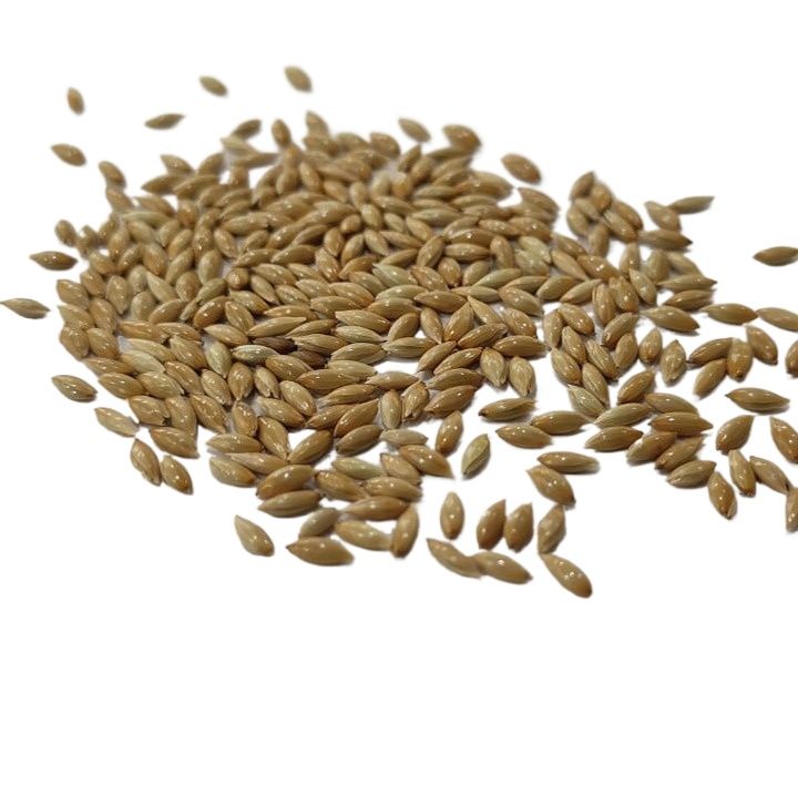 Bird%20Food%20Fresh%20Canary%20Seeds%20For%20Birds%20-%20500g%20-%20Image%204