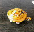 Decorative Ceramic Tortoise Showpice, Aquarium and Home Decor Ceramic Turtle Toy. 