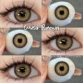 New Wusu Brown Color Contact Lens with Regular Lens Kit Box For Men & Women.1 pair Wusu Color contact lens for eye makeup and  fashion cosmetics .Wusu Series Color Contact lens #Wusu. 