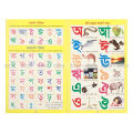 17 PCS Laminated Kids Book Set Adarsha Lipi Computer Math Fruits Flower Bird Reptiles Picture Learning Alphabet Bengali English Arabic Letter Poem Children Early Education Preschool Kindergarten Toddler Fun Toy Study Prime Gift for Baby Boys/Girls Combo.