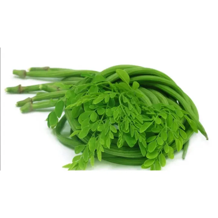 All%20season%20moringa%20(sojina)%2010%20pcs%20seeds.%20-%20Image%205