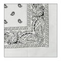 Paisley Headband Bandana Scarf Headband Headwear Hairwrap Women Hair Accessories. 