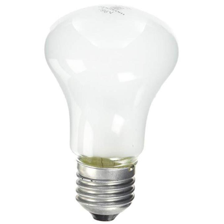 studio flash bulb simpex 100w