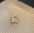Xiaohongshu with the same brushed Fanta ring, women's design sense of light luxury, versatile zircon open index finger ring.