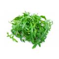 Arugula Rocket Leaves রকেট সালাদ Seed/বীজ- ২৫ পিস. 