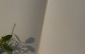 Starry Night & Almond Blossoms Notebook (SN201903104 & SN202130133) 2-Pack. 